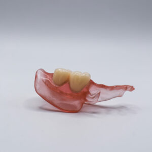 Valplast